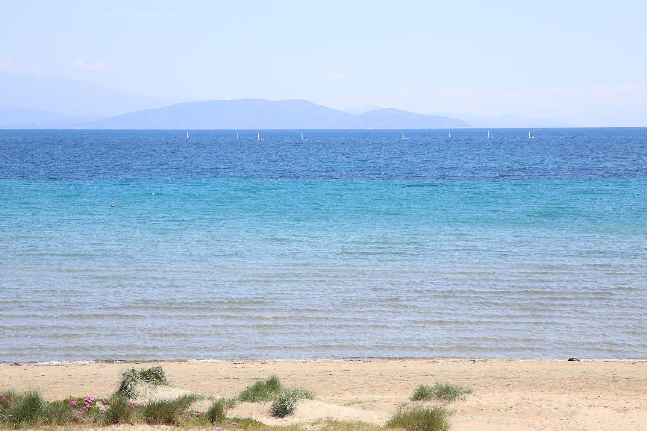 Nami Sea View Near Airport Apartment Artemida  Buitenkant foto